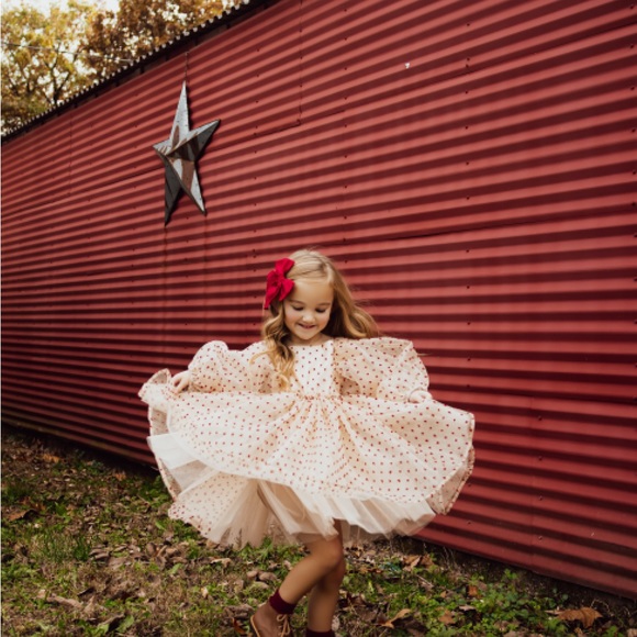 Cora & Violet handmade dress. size 4-6T - Picture 6 of 8